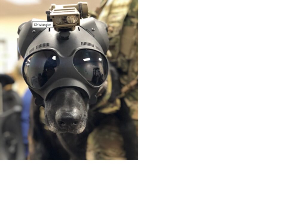 Flashlight, Headlamp